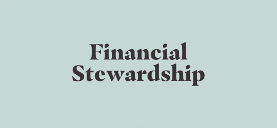 Financial Steward - Website