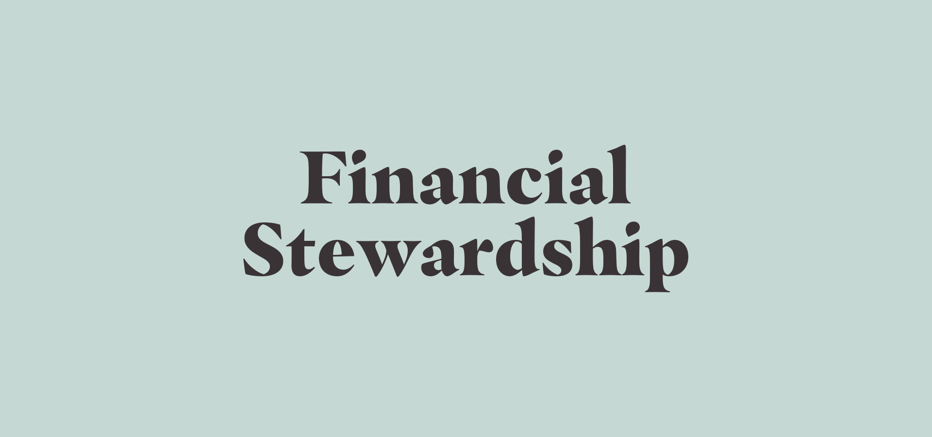 Financial Steward - Website