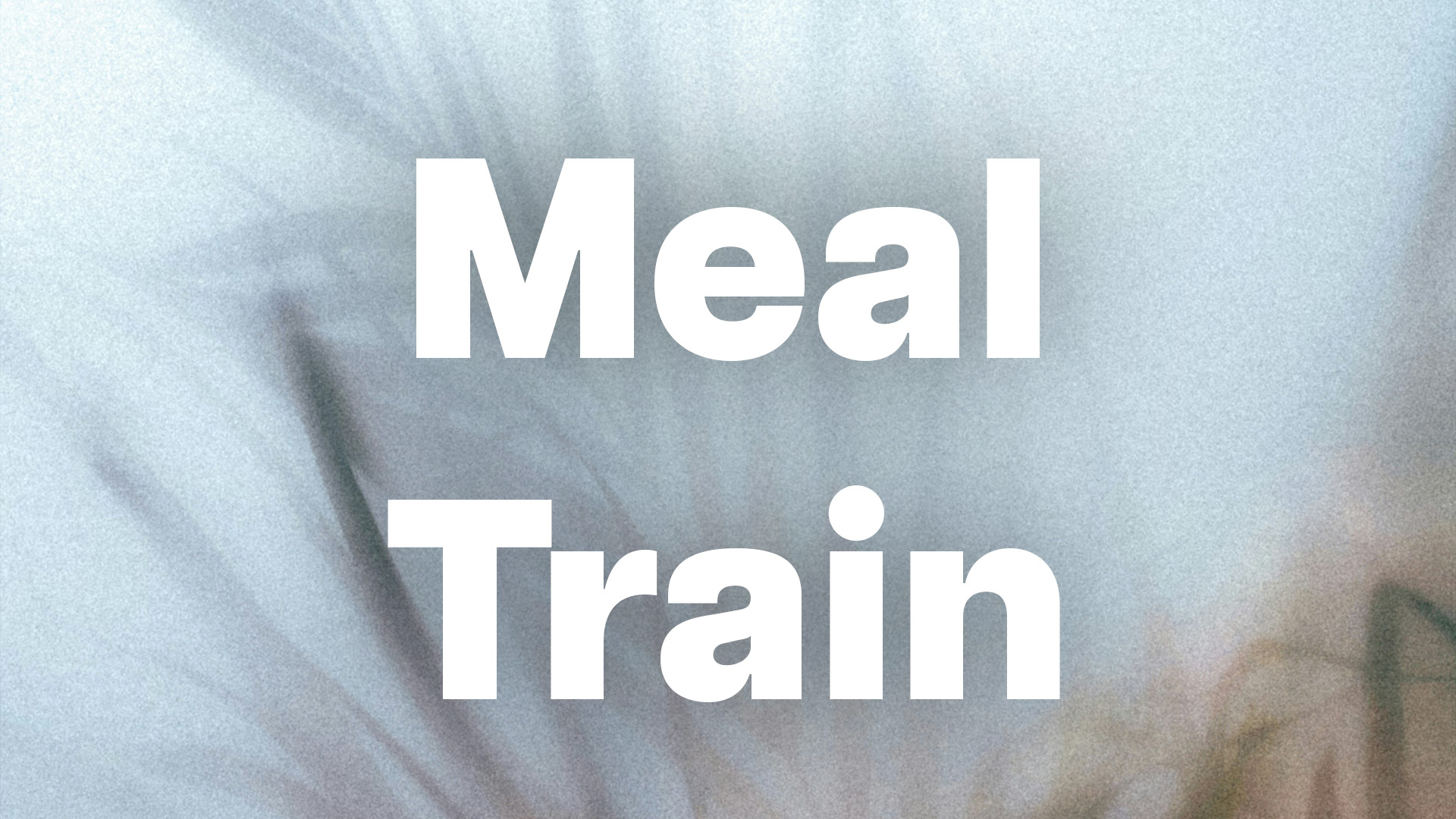 MealTrainWebsite